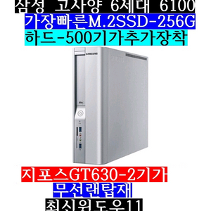 삼성/6세대6100/램8G/SSD256/하드500/GT