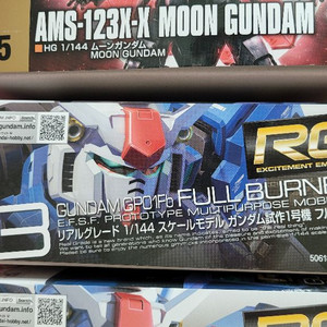 RG GP01 풀비니언