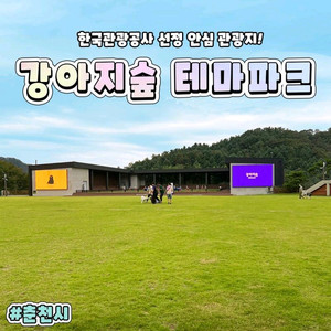 춘천 강아지숲 입장권