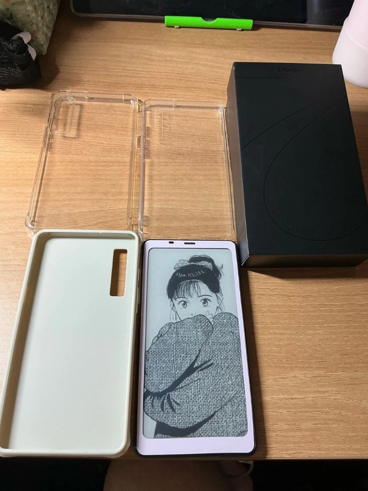 오닉스팔마2 이미지
