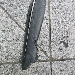 중세영어 고대영어 자료