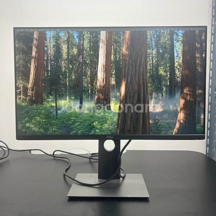DELL P2719H 27인치 모니터 (A급)--0
