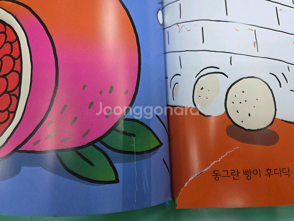 도레미곰--5
