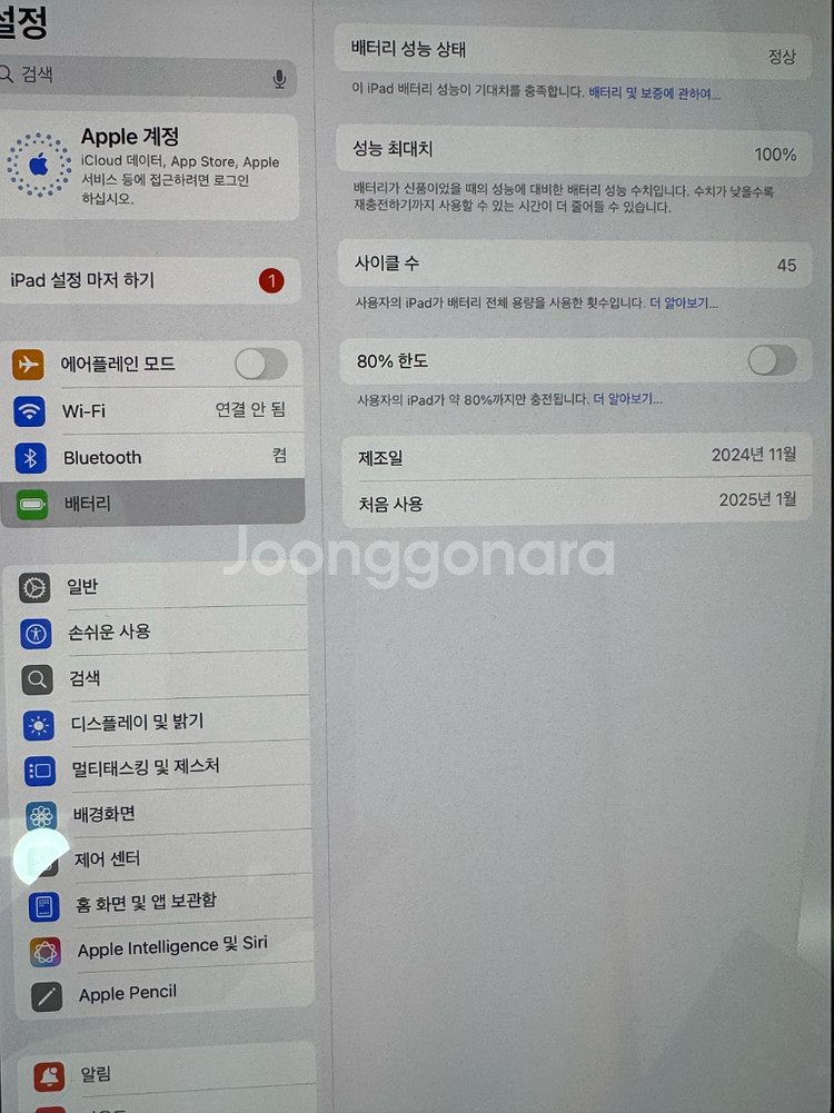 아이패드 프로 11인치 M4 와이파이 실버 256기가--3