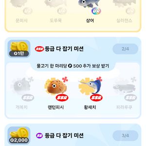 틱톡라이트 물고기삽니다 실러캔스 도루묵 문피시 개복치