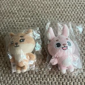 데이식스 케 필 백참