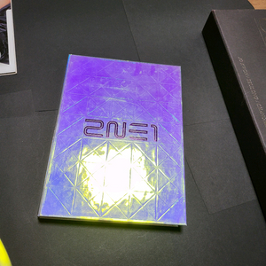 투애니원 (2NE1)-1집[TOANYONE
