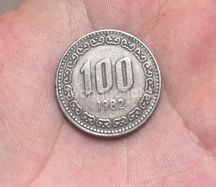 1982년 100원 희귀동전--0