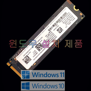 윈도우 설치 삼성 PM9C1a 256GB SSD