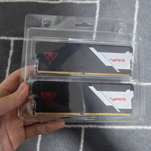 패트리어트 ddr5 7400 cl36 램