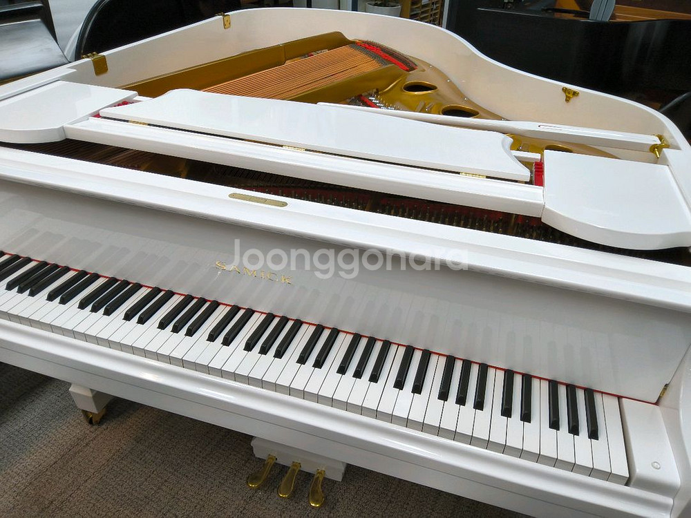 화이트 컬러 그랜드피아노--3