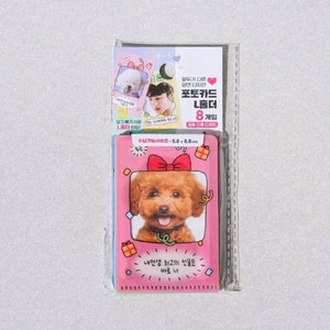 다이소 신상 슬리브 포토카드 L홀더
