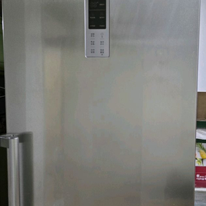 LG전자 냉동고 F-A311GCS