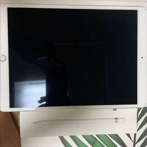 아이패드 프로 2세대 10.5