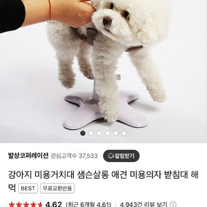 발상 강아지 미용 거치대
