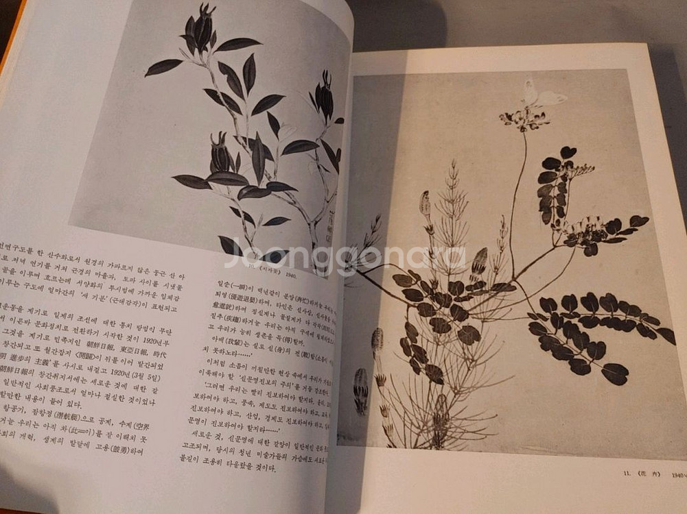 심산 노수현 양장도록1978년 6대작가--1