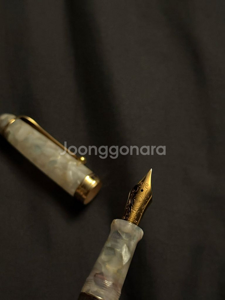 오로라 88 볼테라 F닙 만년필 판매--4