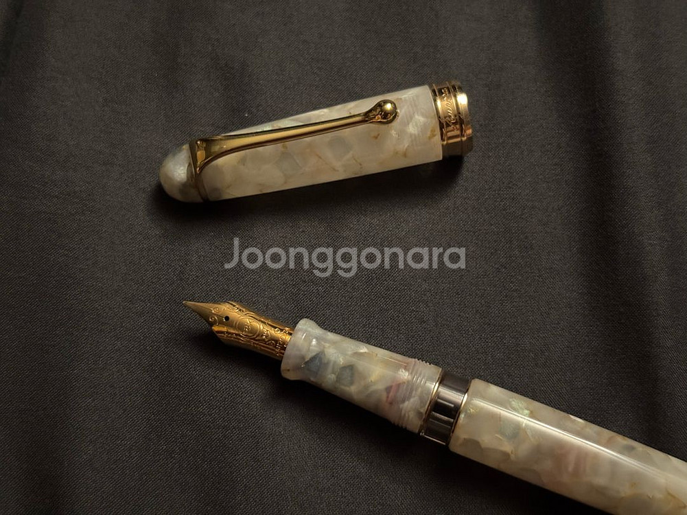 오로라 88 볼테라 F닙 만년필 판매--6