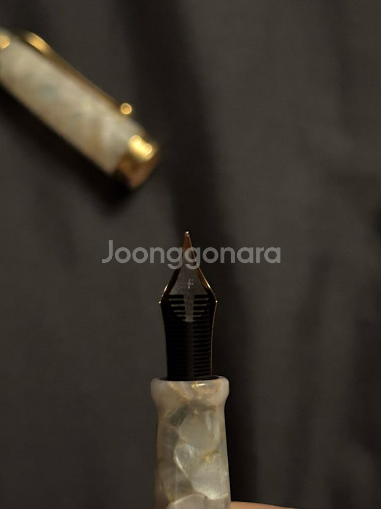 오로라 88 볼테라 F닙 만년필 판매--5