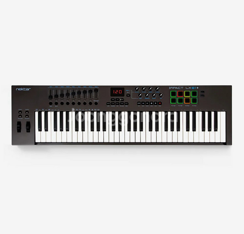 넥타 마스터키보드 미디컨트롤러 LX61+--1