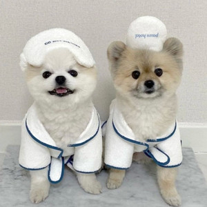 강아지 샤워가운