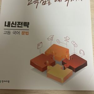 내신전략 고등문법 팝니다