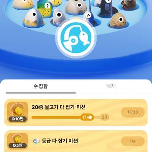 틱톡라이트 낚시 문피시 도루묵 상어 매입합니다