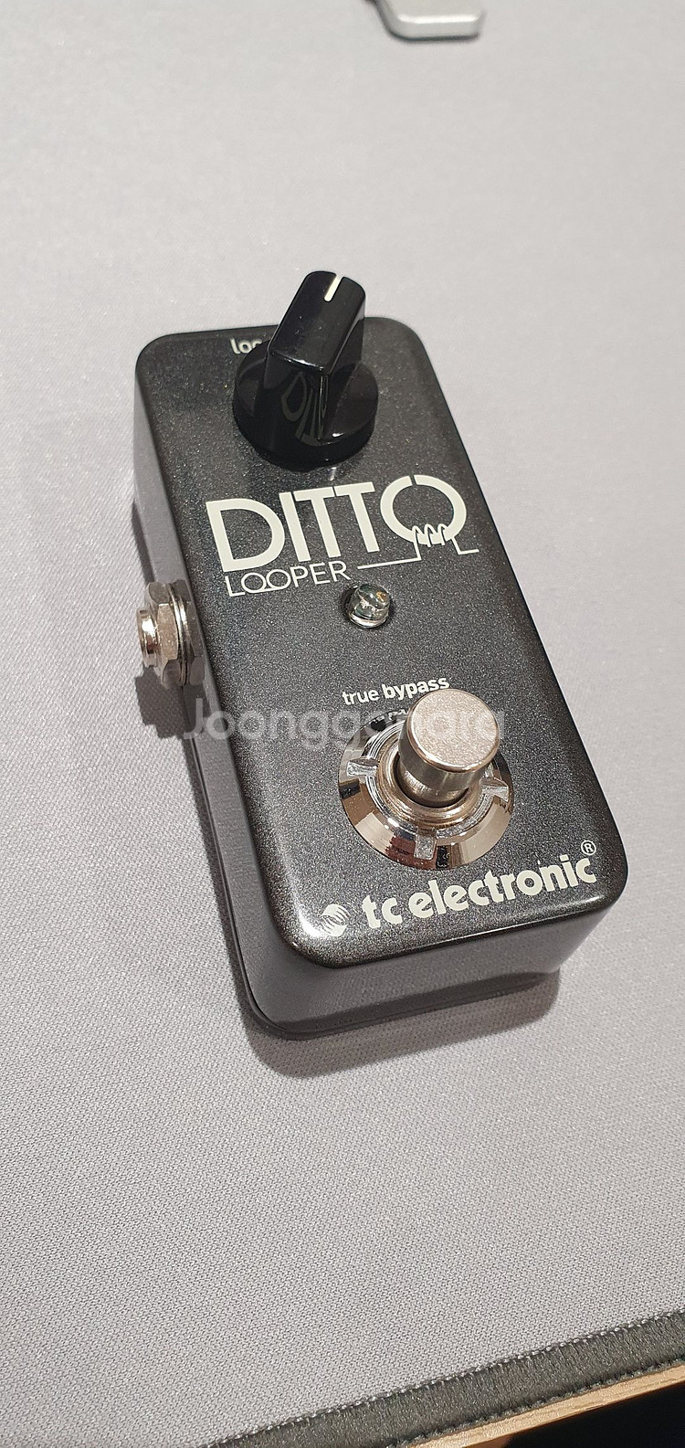 Ditto Looper 기타 루퍼 이펙트 페달--0