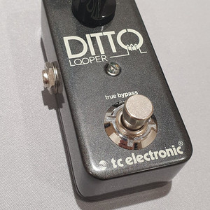 Ditto Looper 기타 루퍼 이펙트 페달