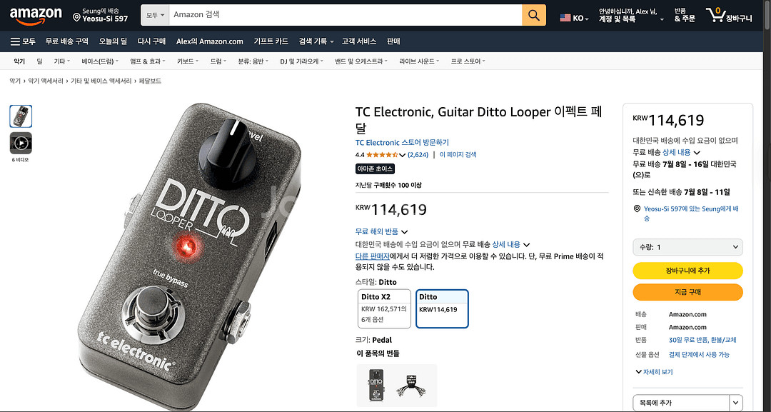 Ditto Looper 기타 루퍼 이펙트 페달--1