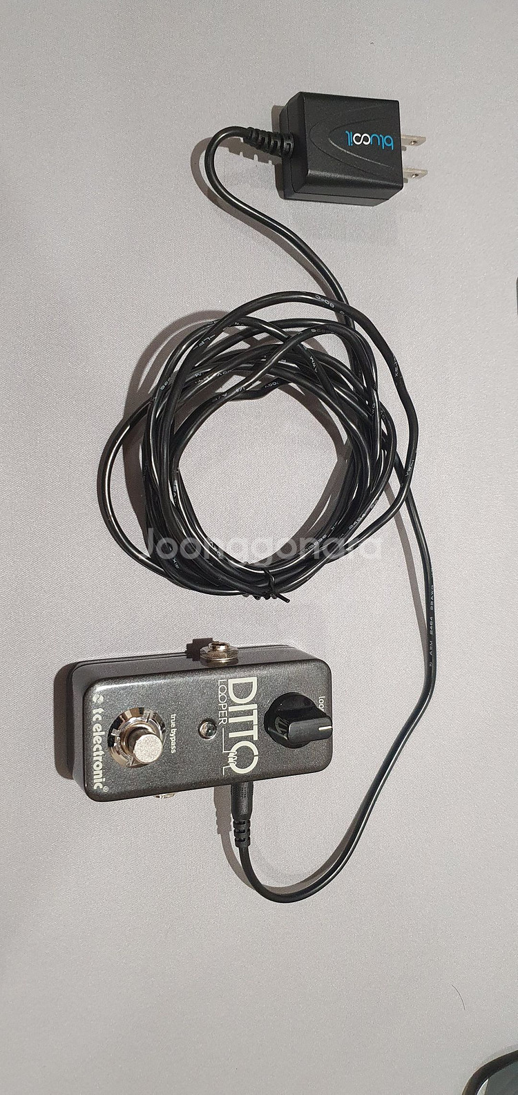 Ditto Looper 기타 루퍼 이펙트 페달--4