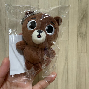 데이식스 데니멀즈 일본엠디 백참 방