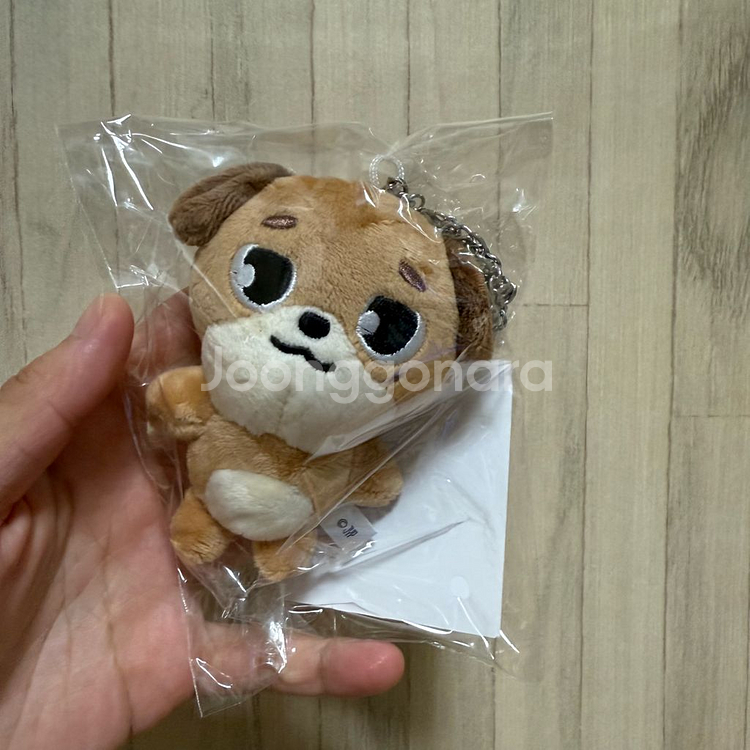 데이식스 데니멀즈 일본엠디 백참 돈--0