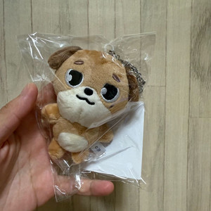 데이식스 데니멀즈 일본엠디 백참 돈