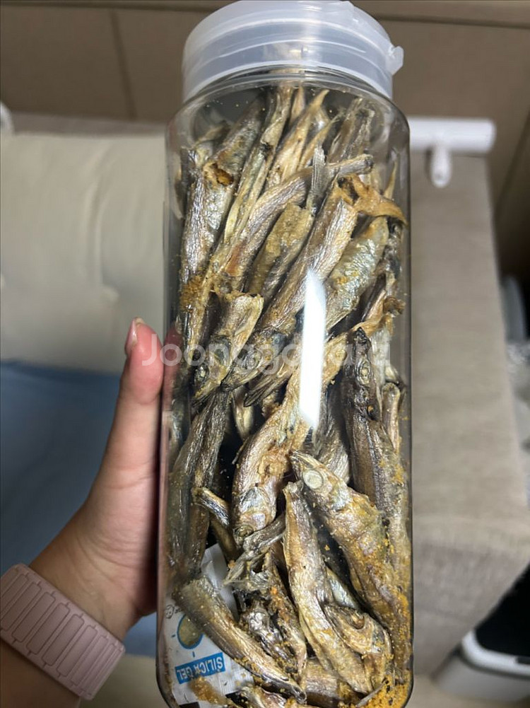 고양이 간식 열빙어 대용량--2
