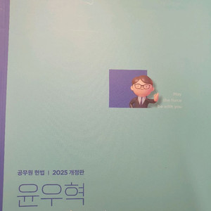 2025 윤우혁 미니 헌법