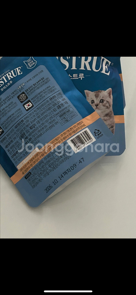 아기 고양이 습식 파우치--1