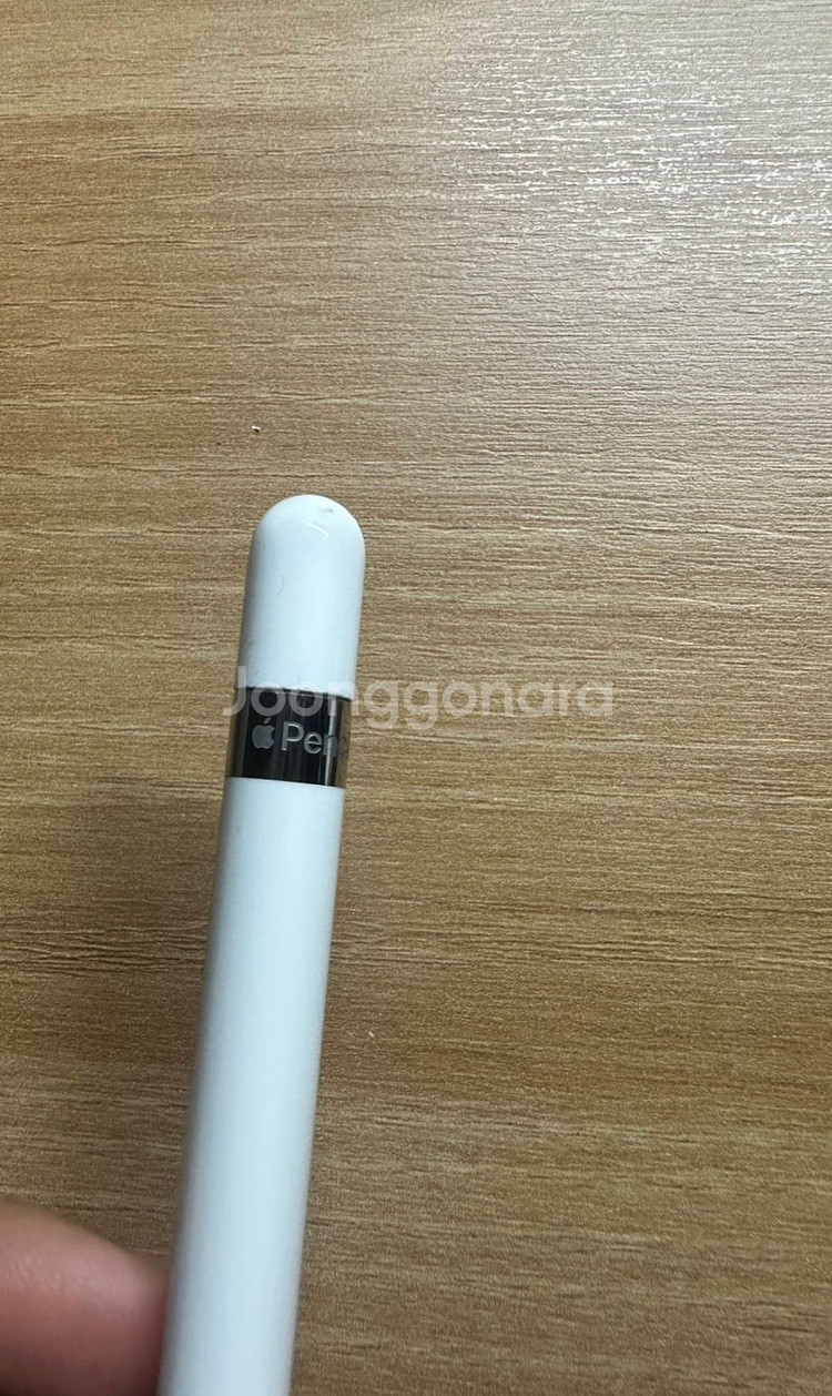 아이패드 프로 2세대 256 GB12.9+애플펜슬--3