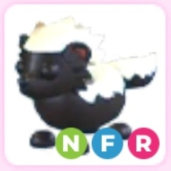 입양하세요 네벌꿀오소리--0