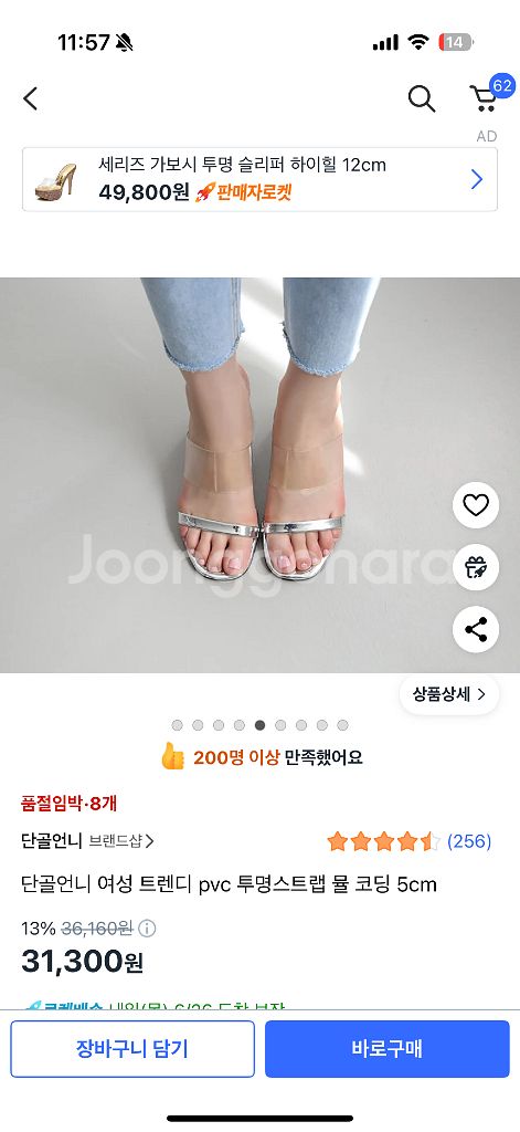 실버 뮬--0