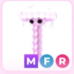 입양하세요 메해파리
