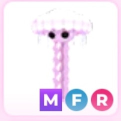 입양하세요 메해파리