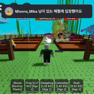그로우 어 가든(그어가) 캔디 블라썸(캔블) 3,4개계