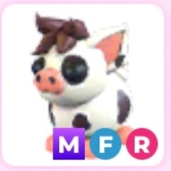 입양하세요 메미돼