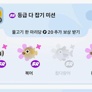 틱톡라이트 낚시 물고기 참다랑어 구해여