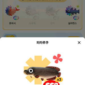 틱톡라이브물고기 팝니다. 다등급좋음 가격제시바람