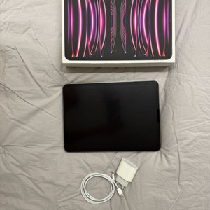 아이패드 프로 11 m2 256GB 스페이스그레이 풀박