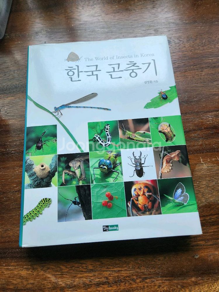한국 곤충기--0