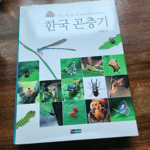 한국 곤충기