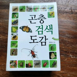 곤충검색도감